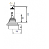 Gloeilampen H11